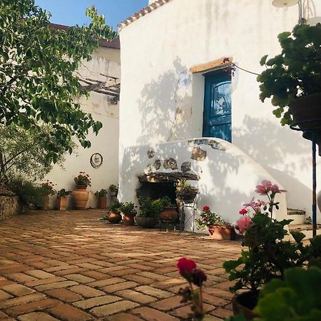 B&B Corte San Lussorio Oliena Kültér fotó