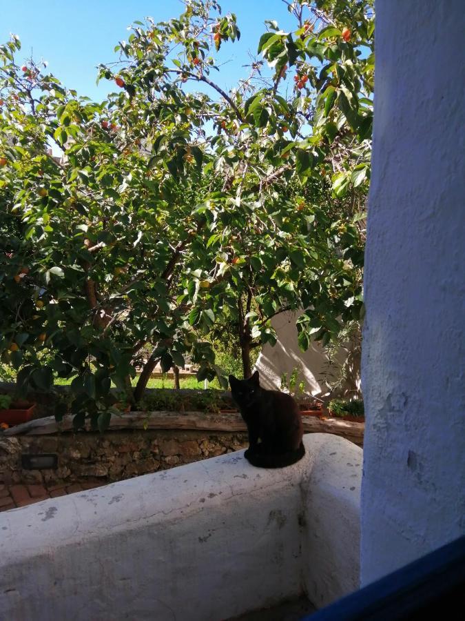 B&B Corte San Lussorio Oliena Kültér fotó