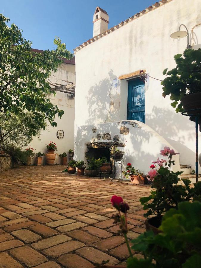 B&B Corte San Lussorio Oliena Kültér fotó