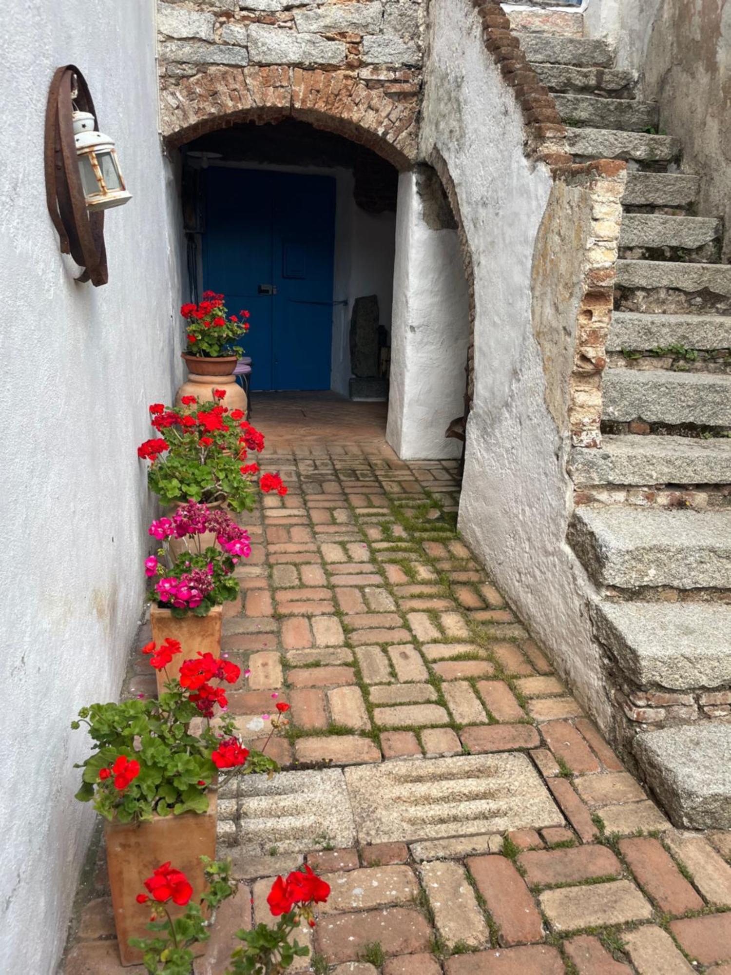 B&B Corte San Lussorio Oliena Kültér fotó