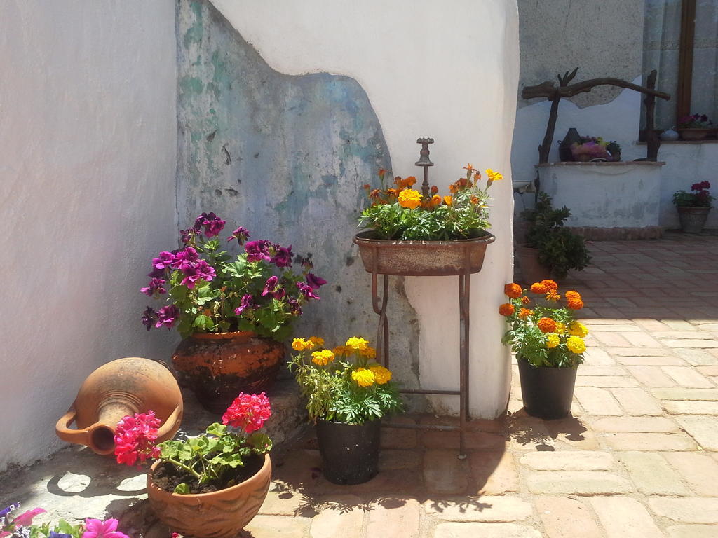 B&B Corte San Lussorio Oliena Kültér fotó