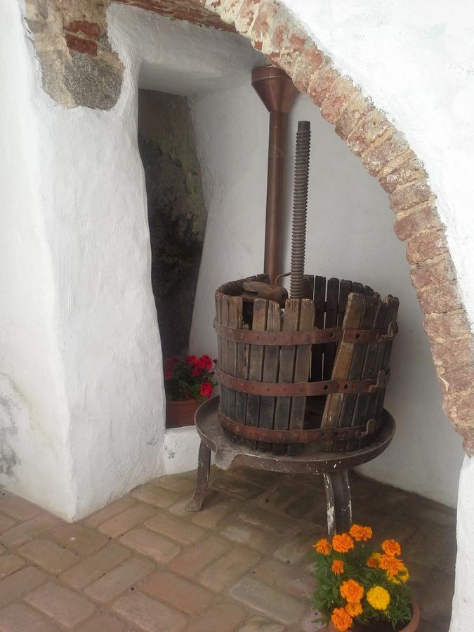 B&B Corte San Lussorio Oliena Kültér fotó